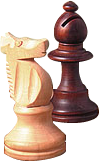 Knight & Bishop chess pieces
